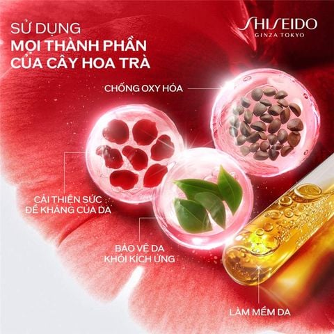  C18_DEAL 25: BỘ TINH CHẤT DƯỠNG DA ULTIMUNE 4.0 SERUM 30ML VÀ KEM NỀN REVITALESSENCE SKIN GLOW FOUNDATION 120 30ML 