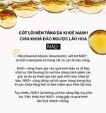  E242_DEAL 2: [PRE-ORDER] HANNAH EXCLUSIVE - BỘ TINH CHẤT TỰ SINH NGĂN NGỪA LÃO HÓA THẾ HỆ THỨ 4 THE WHOO BICHUP ULTIMATE RECOVERY YOUTH SERUM 50ML + 20ML (GIAO HÀNG SAU NGÀY 05/09) 