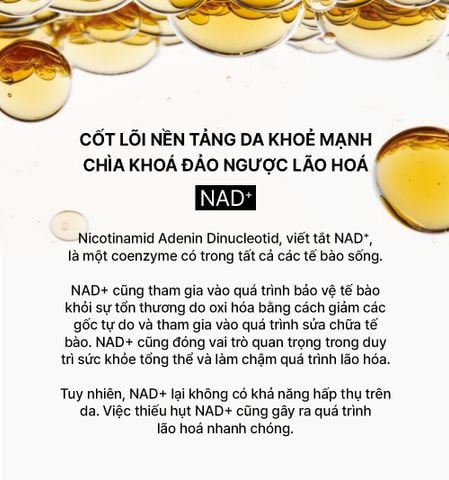  E242_DEAL 2: [PRE-ORDER] HANNAH EXCLUSIVE - BỘ TINH CHẤT TỰ SINH NGĂN NGỪA LÃO HÓA THẾ HỆ THỨ 4 THE WHOO BICHUP ULTIMATE RECOVERY YOUTH SERUM 50ML + 20ML (GIAO HÀNG SAU NGÀY 05/09) 