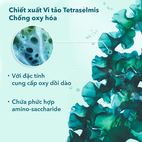  SỮA RỬA MẶT DẠNG GEL CHO DA THƯỜNG ĐẾN DA KHÔ PURE ALGUE CLEASING GEL TẶNG MINI GEL RỬA MẶT + MINI KEM DƯỠNG GLOW ENERGIE - R4 