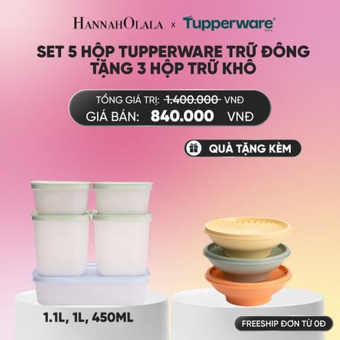  SET 5 HỘP TUPPERWARE TRỮ ĐÔNG TẶNG 3 HỘP TRỮ KHÔ_A304 