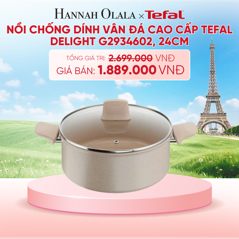  NỒI CHỐNG DÍNH VÂN ĐÁ CAO CẤP TEFAL DELIGHT G2934602, 24CM - B280 