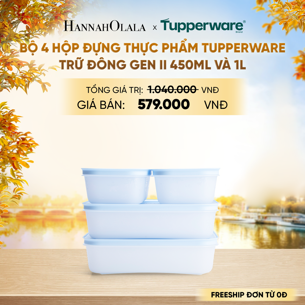  BỘ 4 HỘP ĐỰNG THỰC PHẨM TUPPERWARE TRỮ ĐÔNG GEN II 450ML VÀ 1L - E1911 