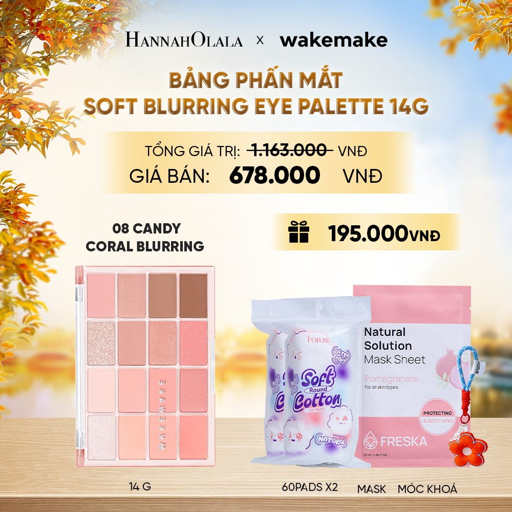  WAKEMAKE BẢNG PHẤN MẮT SOFT BLURRING EYE PALETTE 14G - E543 