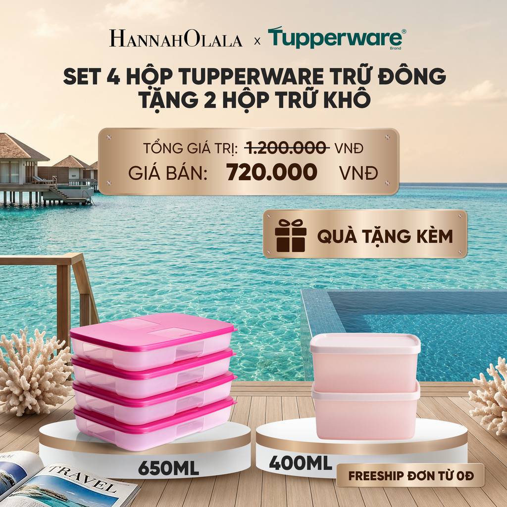  SET 4 HỘP TUPPERWARE TRỮ ĐÔNG DẸP TẶNG 2 HỘP TRỮ KHÔ_ D1811 