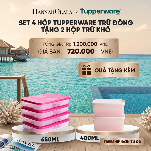  SET 4 HỘP TUPPERWARE TRỮ ĐÔNG DẸP TẶNG 2 HỘP TRỮ KHÔ_ D1811 