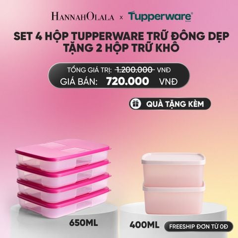  SET 4 HỘP TUPPERWARE TRỮ ĐÔNG DẸP TẶNG 2 HỘP TRỮ KHÔ_A305 