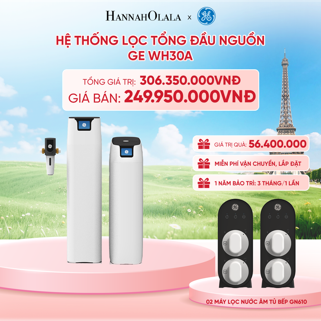  HỆ THỐNG LỌC TỔNG ĐẦU NGUỒN GE WH30A - DEAL 4 - B26 