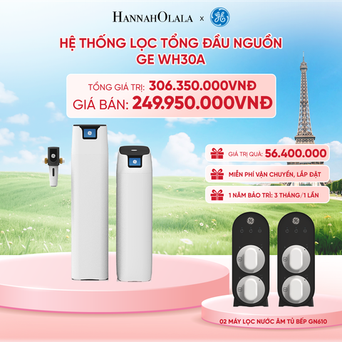  HỆ THỐNG LỌC TỔNG ĐẦU NGUỒN GE WH30A - DEAL 4 - B26 