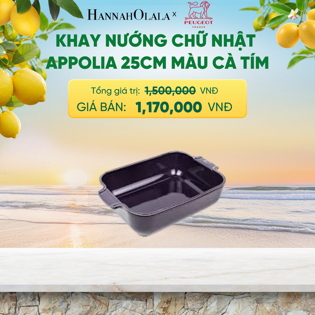  KHAY NƯỚNG CHỮ NHẬT APPOLIA 25CM - A2619 