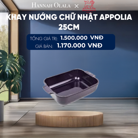  KHAY NƯỚNG CHỮ NHẬT APPOLIA 25CM 