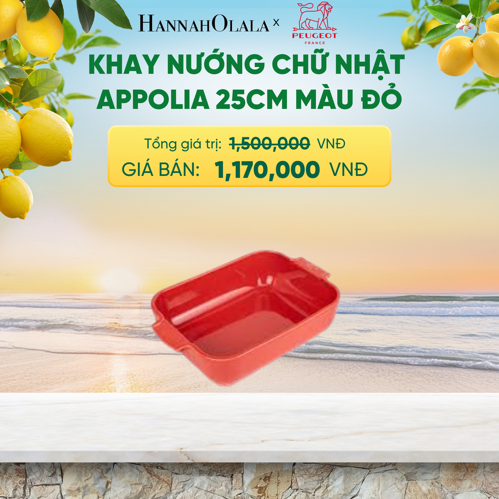 KHAY NƯỚNG CHỮ NHẬT APPOLIA 25CM - A2619 