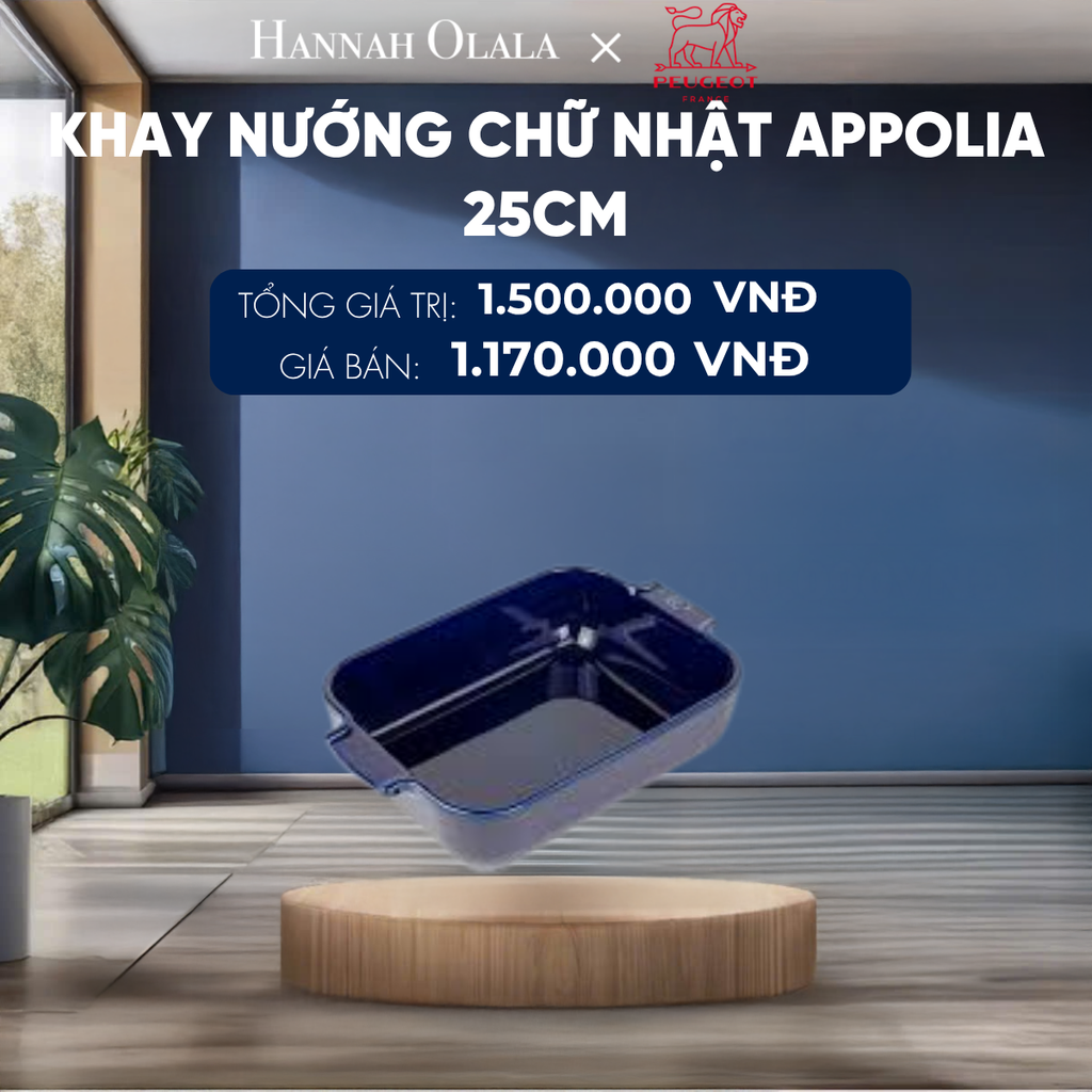  KHAY NƯỚNG CHỮ NHẬT APPOLIA 25CM 