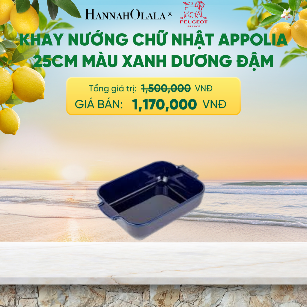  KHAY NƯỚNG CHỮ NHẬT APPOLIA 25CM - A2619 