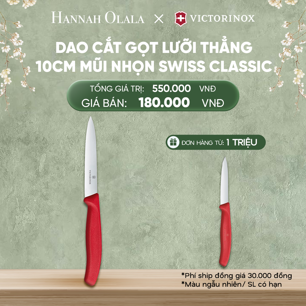  DEAL27: DAO CẮT GỌT LƯỠI THẲNG 10CM MŨI NHỌN SWISS CLASSIC 