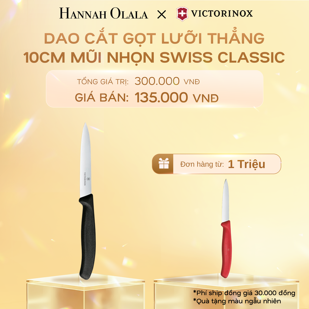  C533_DEAL36: DAO CẮT GỌT LƯỠI RĂNG CƯA 10CM MŨI NHỌN SWISS CLASSIC 