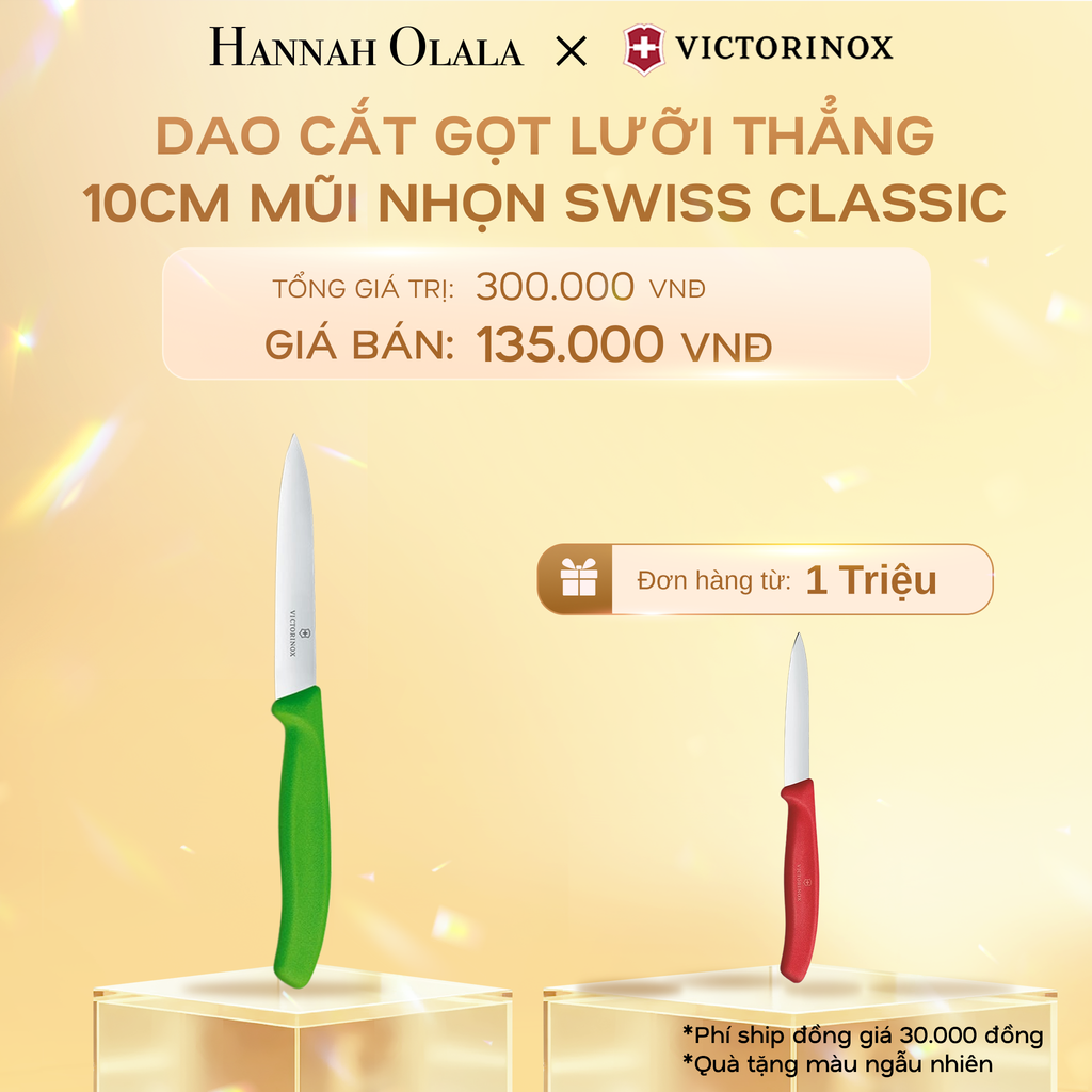  C527_DEAL35: DAO CẮT GỌT LƯỠI THẲNG 10CM MŨI NHỌN SWISS CLASSIC 