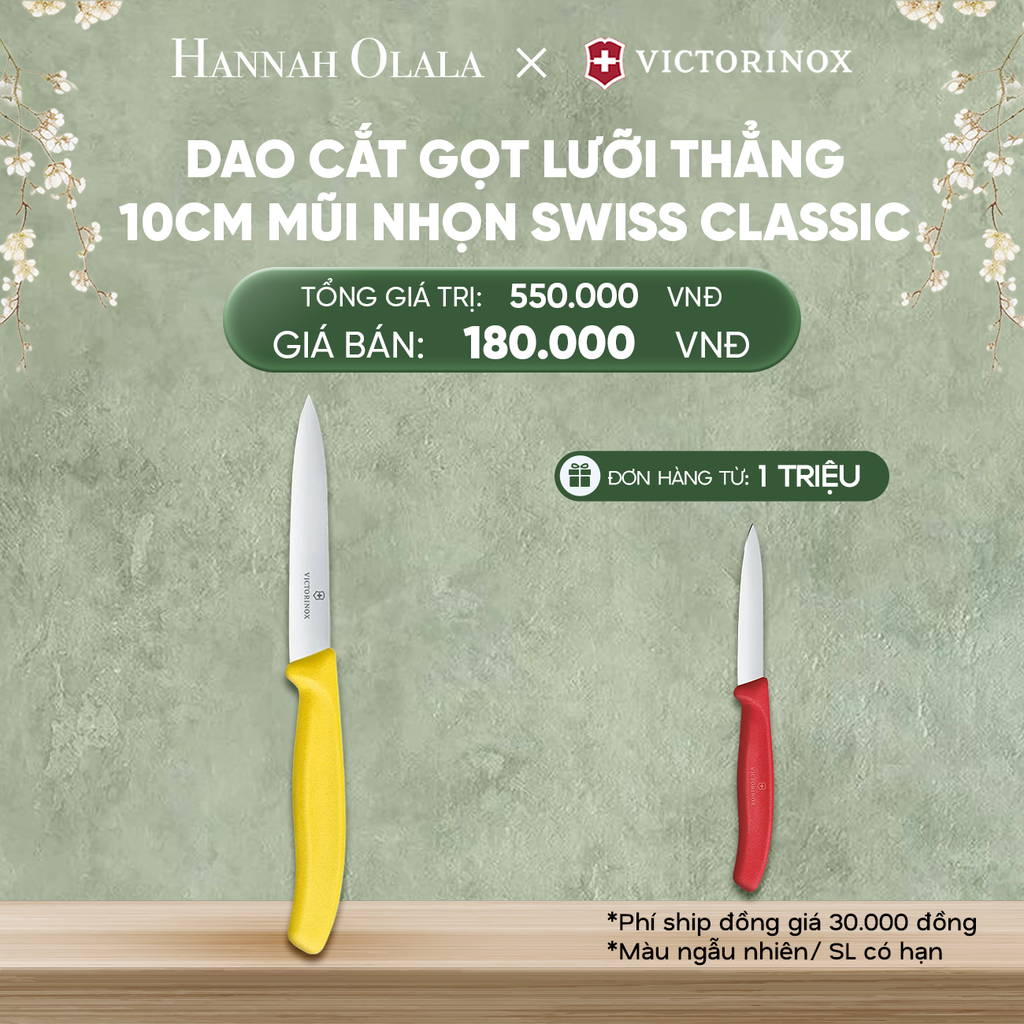  DEAL27: DAO CẮT GỌT LƯỠI THẲNG 10CM MŨI NHỌN SWISS CLASSIC 
