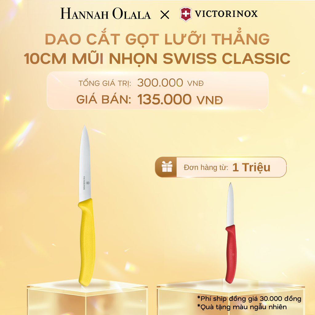  C527_DEAL35: DAO CẮT GỌT LƯỠI THẲNG 10CM MŨI NHỌN SWISS CLASSIC 