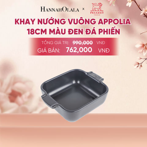  KHAY NƯỚNG VUÔNG APPOLIA - A1041 