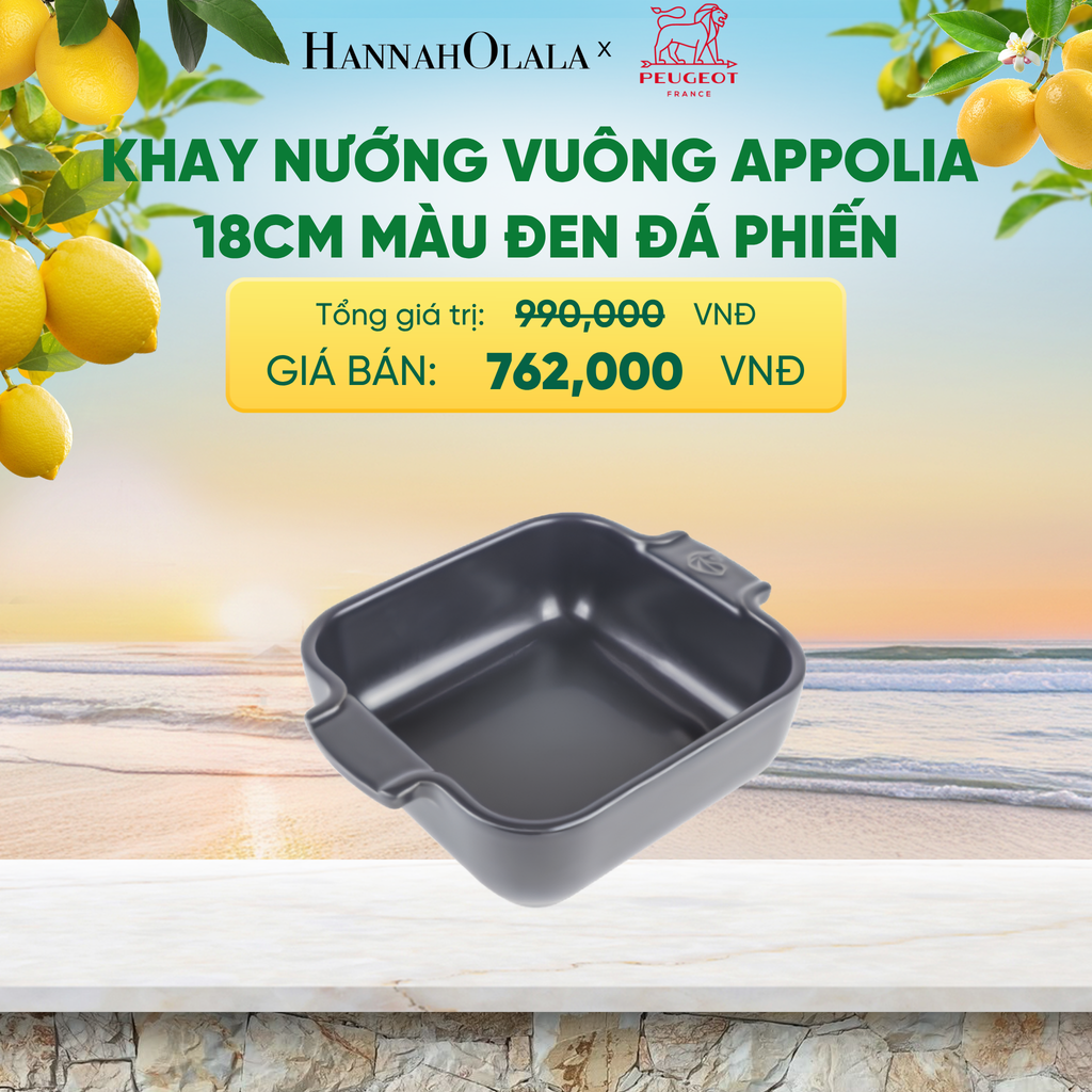  KHAY NƯỚNG VUÔNG APPOLIA - A2623 