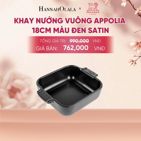  KHAY NƯỚNG VUÔNG APPOLIA - A1041 