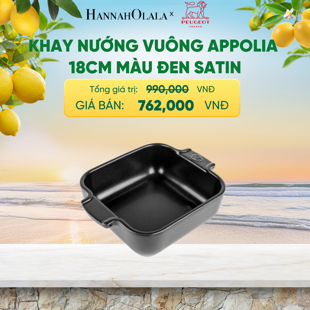  KHAY NƯỚNG VUÔNG APPOLIA - A2623 