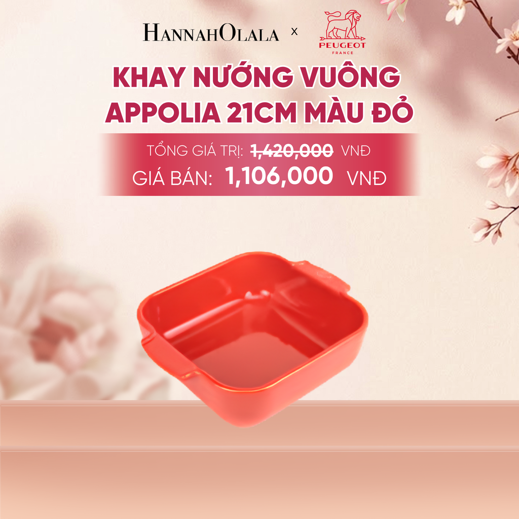  KHAY NƯỚNG VUÔNG APPOLIA - A1041 