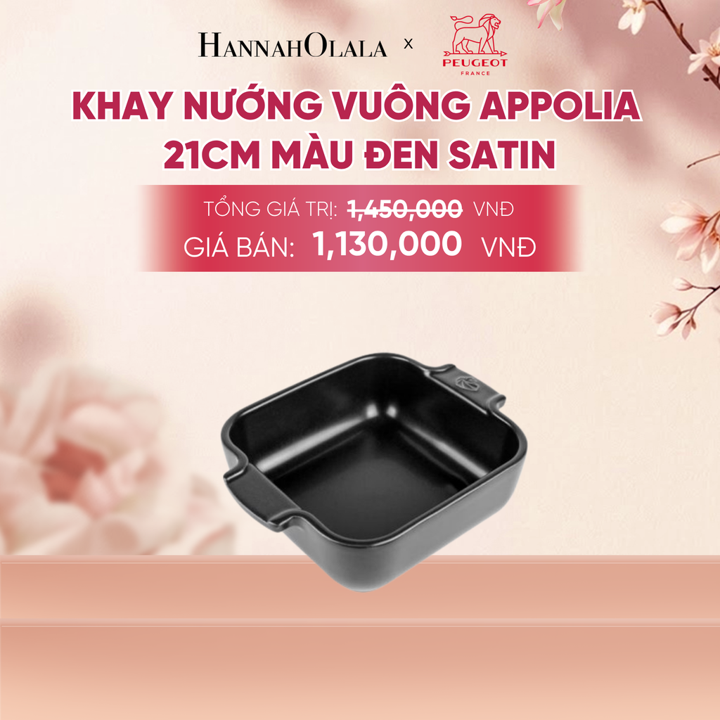  KHAY NƯỚNG VUÔNG APPOLIA - A1041 