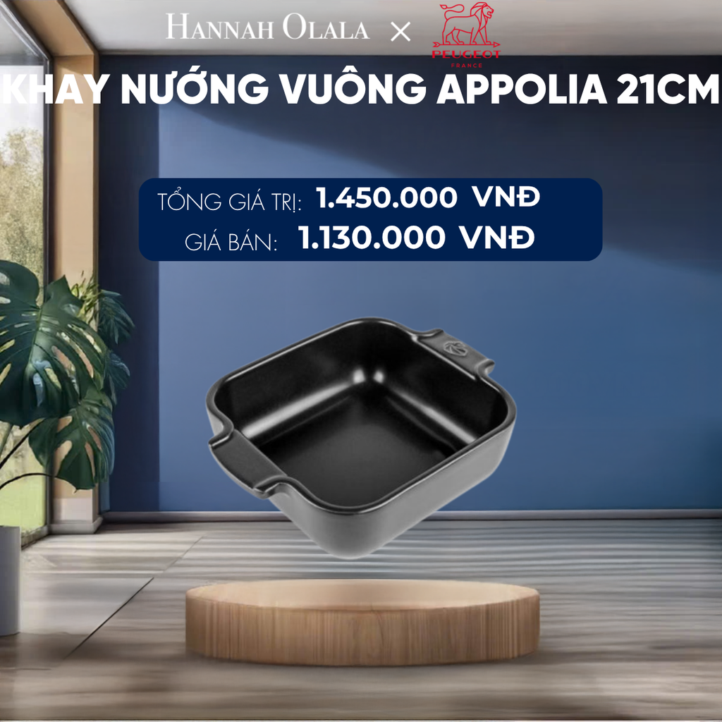  KHAY NƯỚNG VUÔNG APPOLIA 21CM 