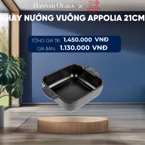  KHAY NƯỚNG VUÔNG APPOLIA 21CM 