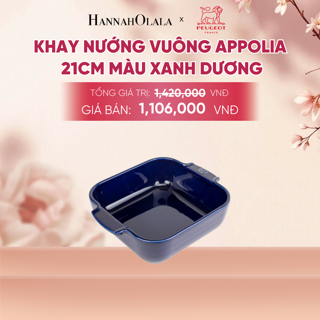  KHAY NƯỚNG VUÔNG APPOLIA - A1041 