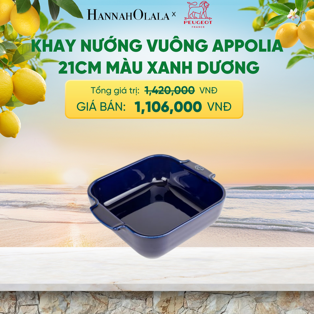  KHAY NƯỚNG VUÔNG APPOLIA - A2623 