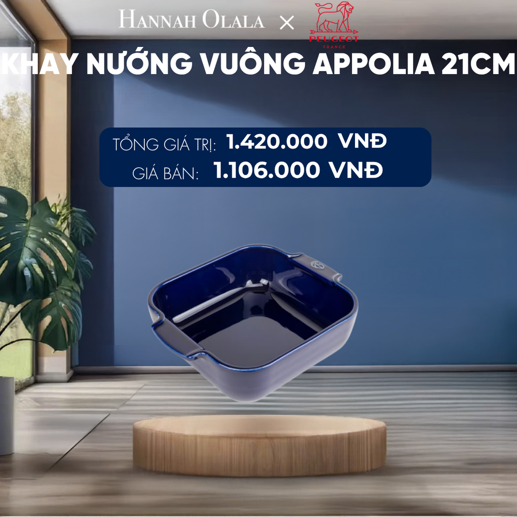  KHAY NƯỚNG VUÔNG APPOLIA 21CM 