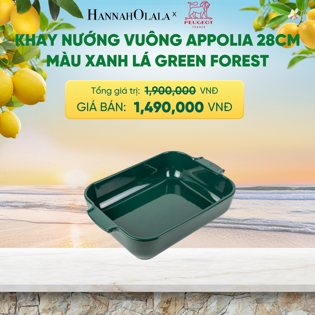  KHAY NƯỚNG VUÔNG APPOLIA - A2623 