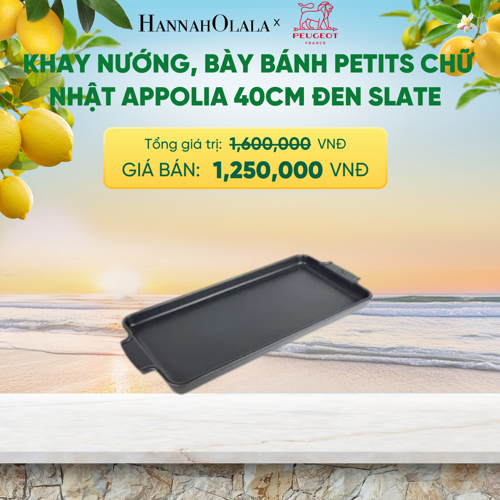  KHAY NƯỚNG, BÀY BÁNH PETITS CHỮ NHẬT APPOLIA 40CM - A2629 