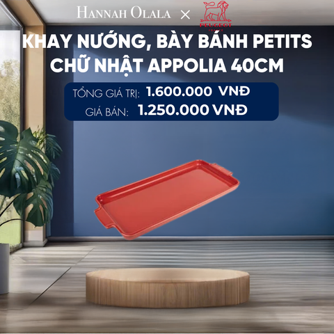  KHAY NƯỚNG, BÀY BÁNH PETITS CHỮ NHẬT APPOLIA 40CM 