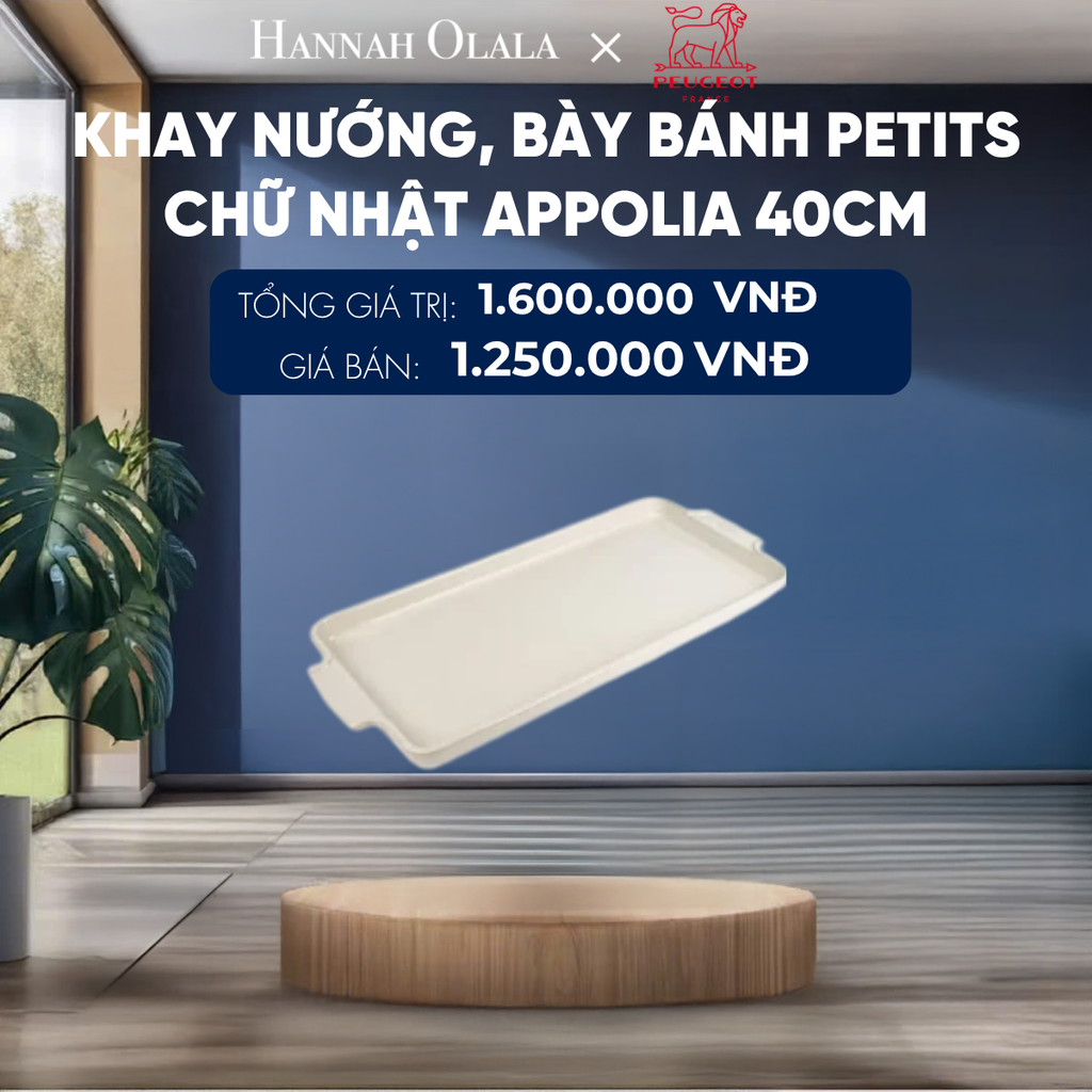  KHAY NƯỚNG, BÀY BÁNH PETITS CHỮ NHẬT APPOLIA 40CM 