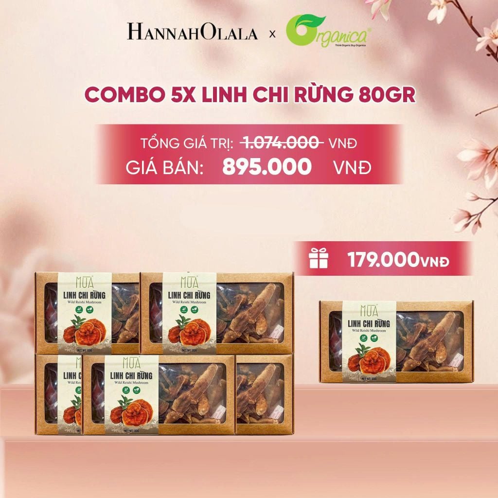  LINH CHI RỪNG 80G - A97 