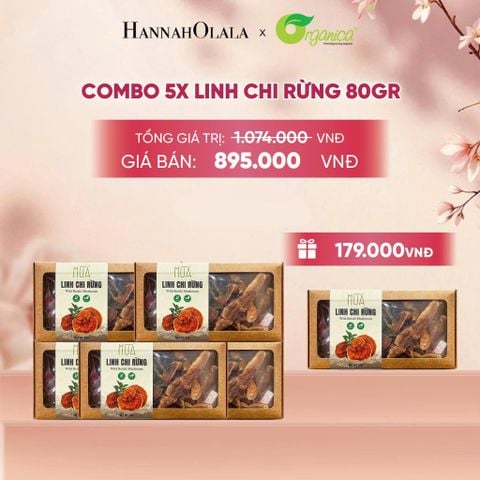  LINH CHI RỪNG 80G - A97 