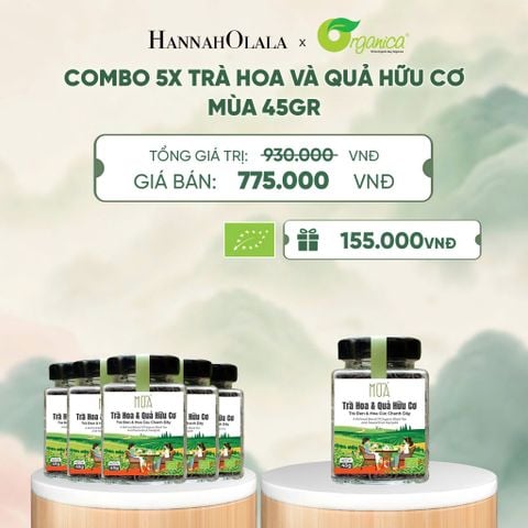  TRÀ HOA VÀ QUẢ HỮU CƠ MÙA 45GR - A1901 