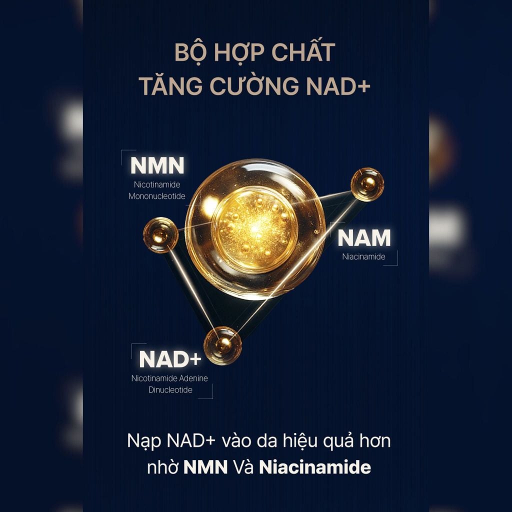  DEAL 3: MỚI RA MẮT - BỘ TINH CHẤT TĂNG CƯỜNG NGỪA LÃO HÓA CHUYÊN SÂU THE WHOO BICHUP ULTIMATE RECOVERY NAD POWER AMPOULE 30ML SPECIAL SET 