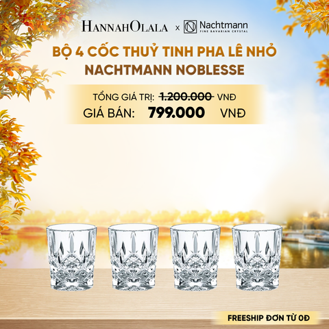  BỘ 4 CỐC THUỶ TINH PHA LÊ NHỎ NACHTMANN NOBLESSE - E1903 