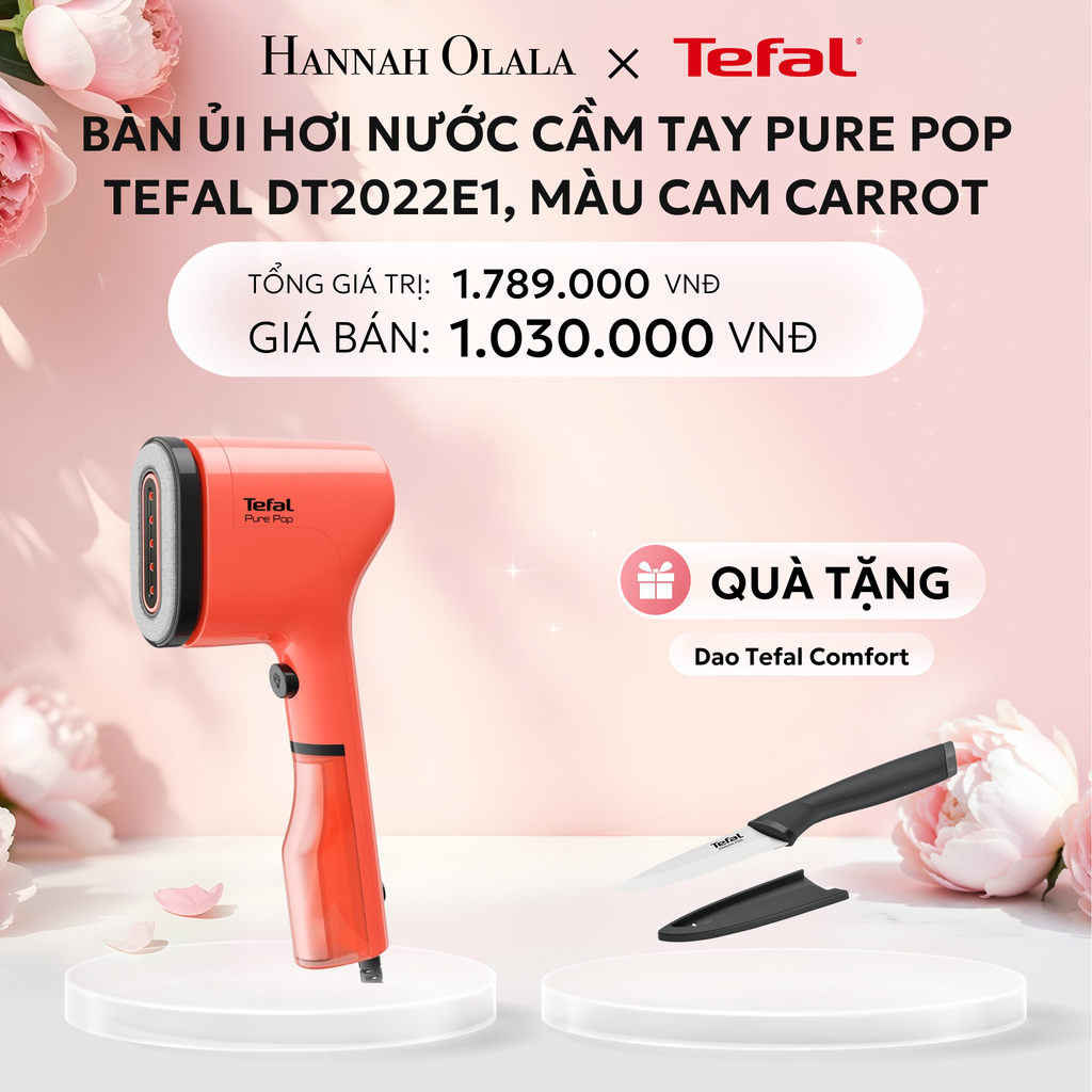  E312: DEAL 6: BÀN ỦI HƠI NƯỚC CẦM TAY PURE POP TEFAL DT2020E1 