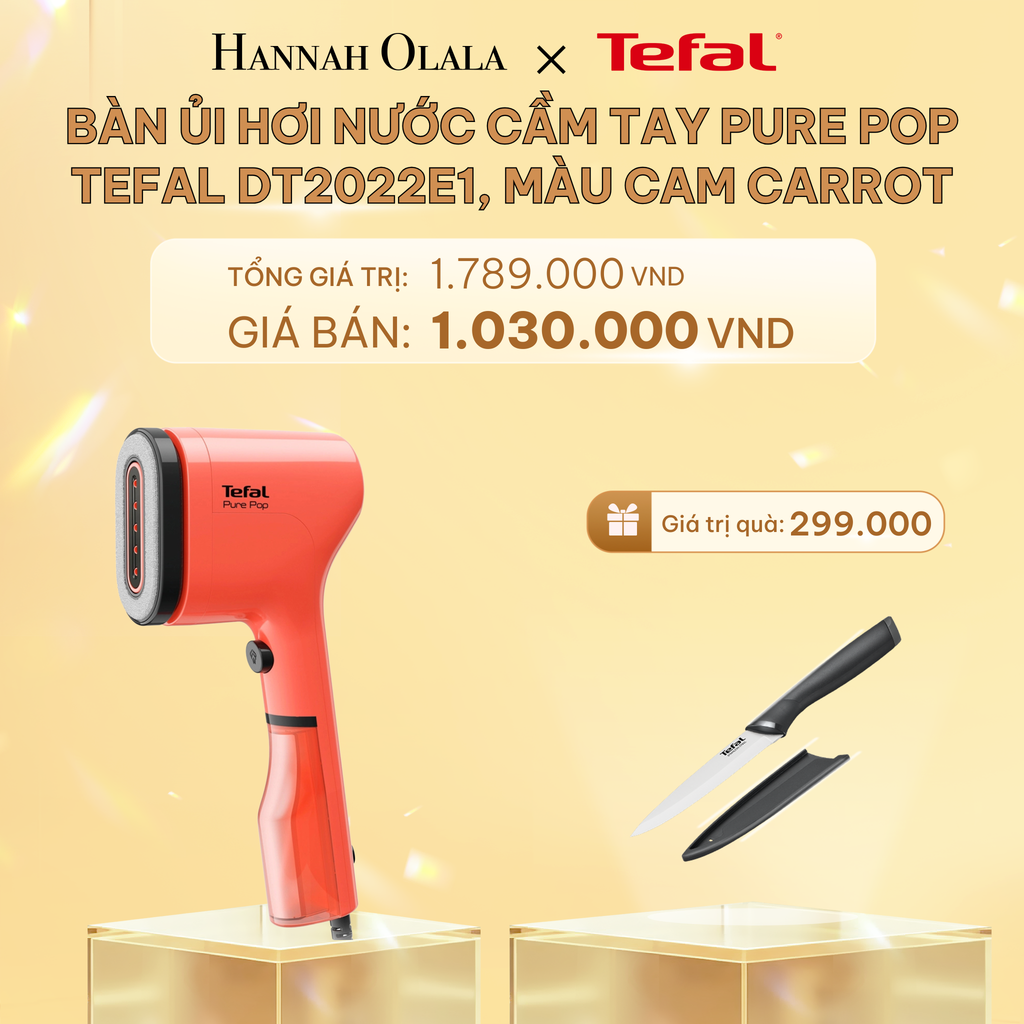  C426_DEAL 4: BÀN ỦI HƠI NƯỚC CẦM TAY PURE POP TEFAL 