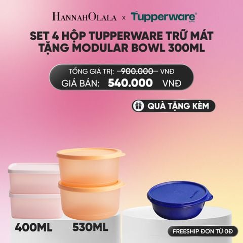  SET 4 HỘP TUPPERWARE TRỮ MÁT TẶNG MODULAR BOWL 300ML_A312 