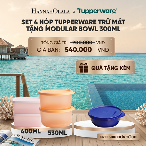  SET 4 HỘP TUPPERWARE TRỮ MÁT TẶNG MODULAR BOWL 300ML_ D1619 