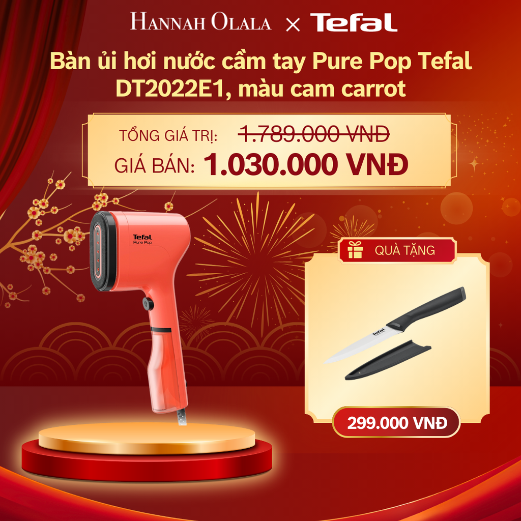  DEAL 4: BÀN ỦI HƠI NƯỚC CẦM TAY PURE POP TEFAL DT2020E1 