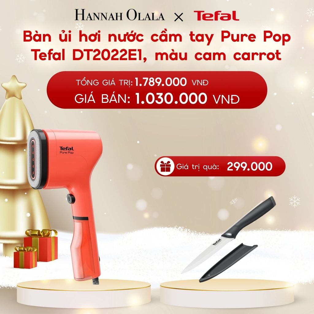  A168_DEAL 4: BÀN ỦI HƠI NƯỚC CẦM TAY PURE POP TEFAL DT2020E1 