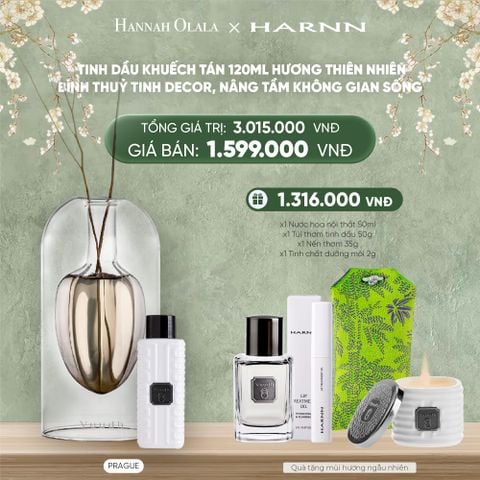  DEAL 10: TINH DẦU KHUẾCH TÁN 120ML HƯƠNG THIÊN NHIÊN - BÌNH THUỶ TINH DECOR, NÂNG TẦM KHÔNG GIAN SỐNG 
